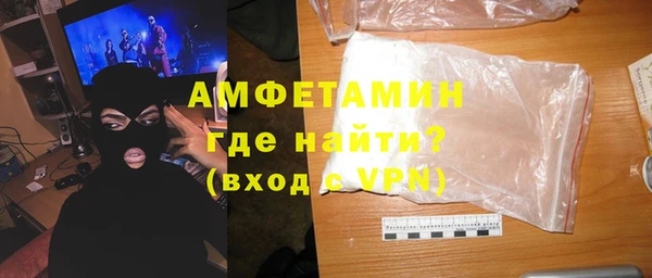 дживик Инта