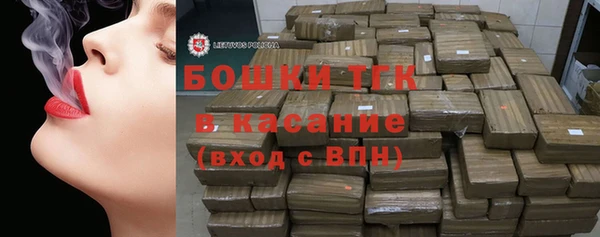 сатива Иннополис