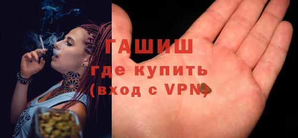 дживик Инта