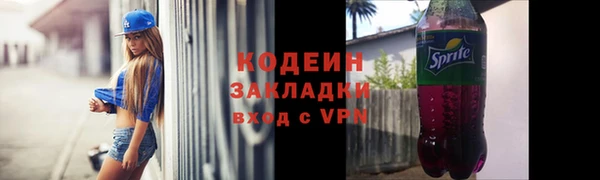 дживик Инта