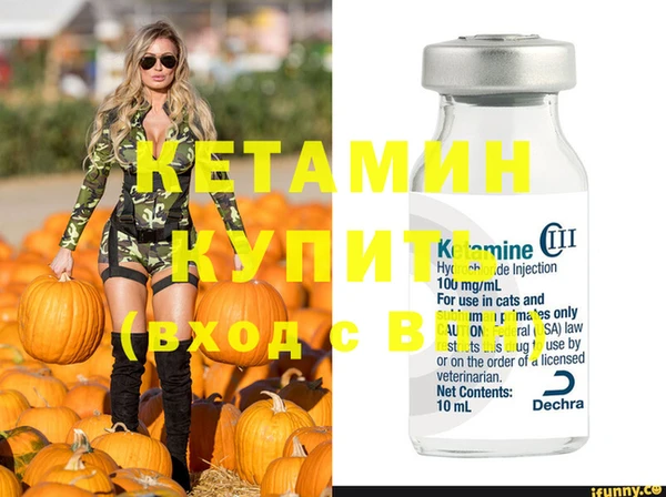 дживик Инта